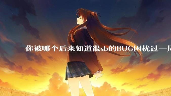 你被哪个后来知道很sb的BUG困扰过一周以上吗？