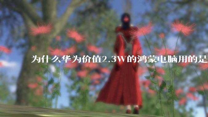 为什么华为价值2.3W的鸿蒙电脑用的是美国西数的SN740固态硬盘？