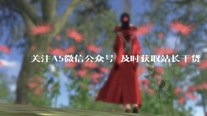 关注A5微信公众号 及时获取站长干货 - *