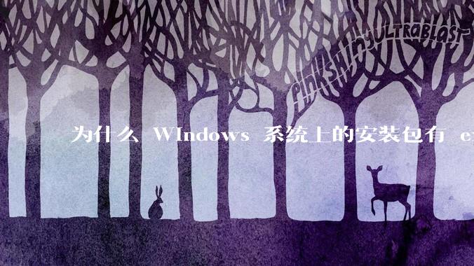 为什么 Windows 系统上的安装包有 exe 和 msi 两种格式，有什么区别？