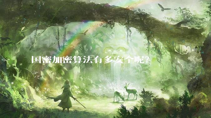国密加密算法有多安全呢？