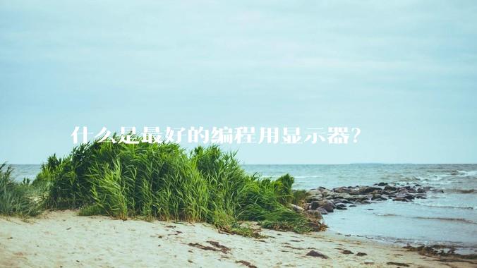 什么是最好的编程用显示器？
