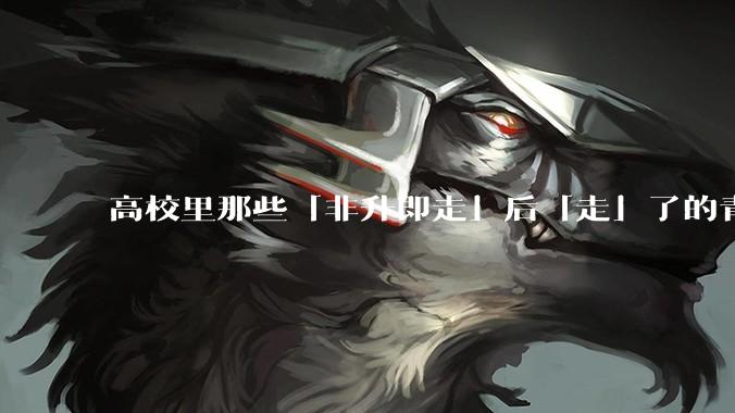 高校里那些「非升即走」后「走」了的青年教师都怎么样了？