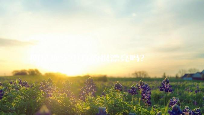 明星现实中真的很漂亮吗？